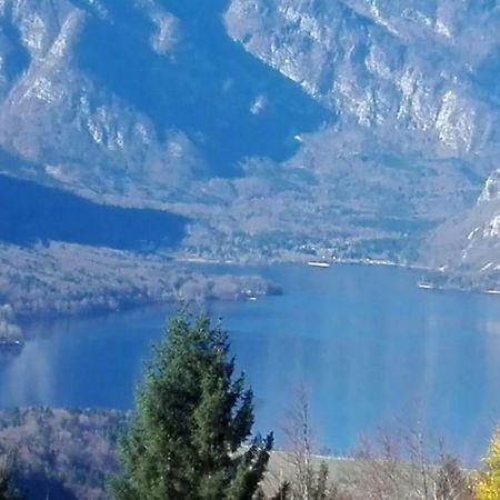 Apartmaji Korosec Na Koprivniku Apartman Koprivnik v Bohinju Kültér fotó