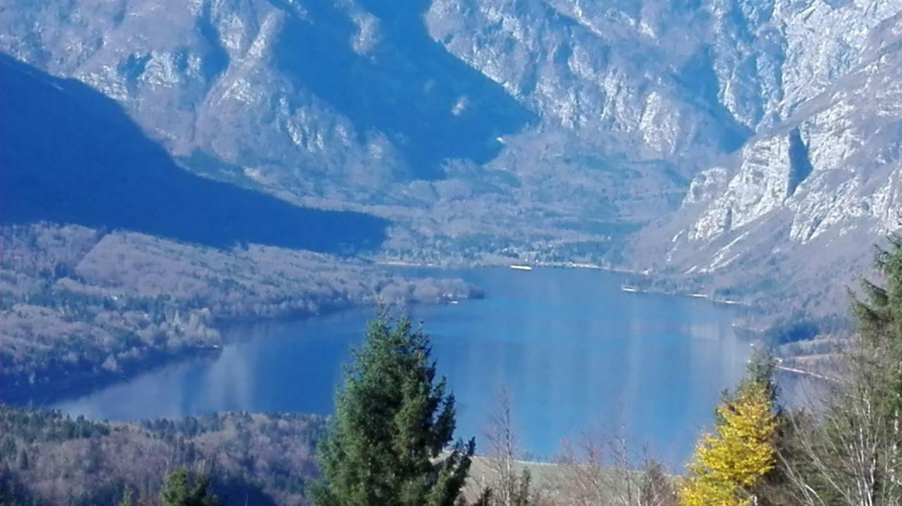 Apartmaji Korosec Na Koprivniku Apartman Koprivnik v Bohinju Kültér fotó